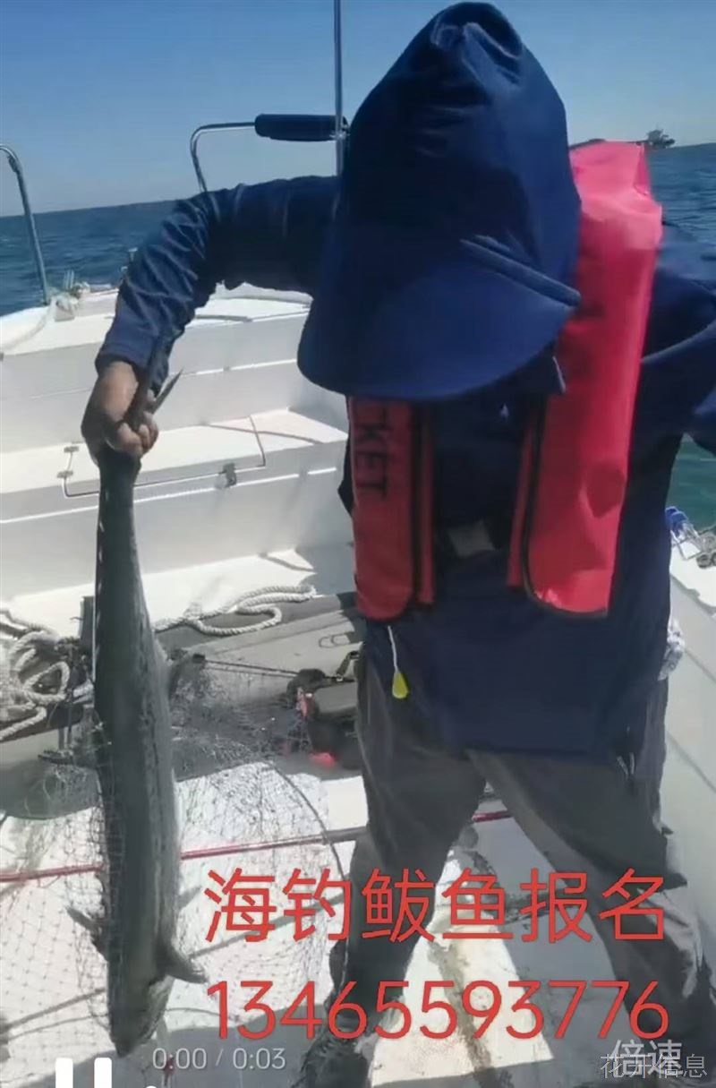 龙口6月5号海钓鲅鱼报名