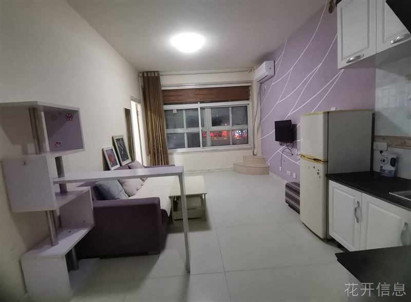 丽晶小海鲜对面公寓出租700元/月